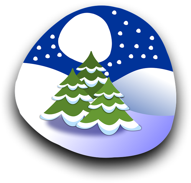 Winter Night Snowy Pine Trees PNG image