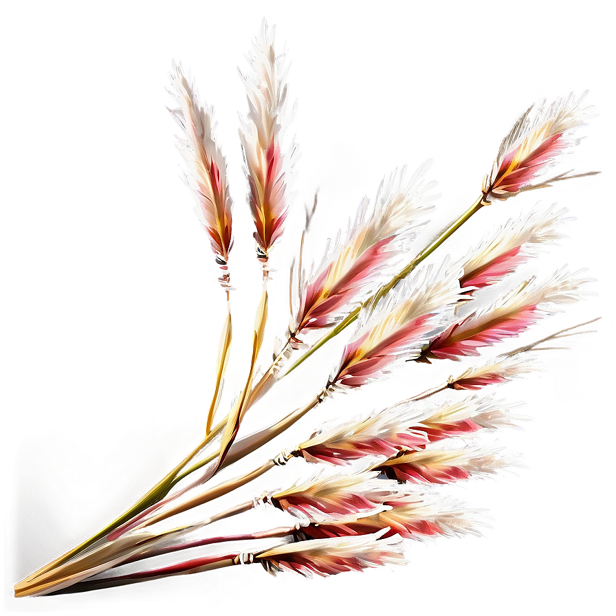 Winter Pampas Grass Png 69 PNG image