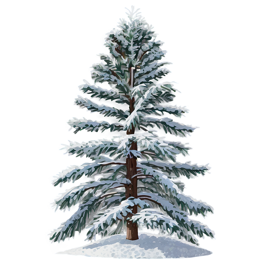 Winter Pine Trees In Snow Png 06292024 PNG image