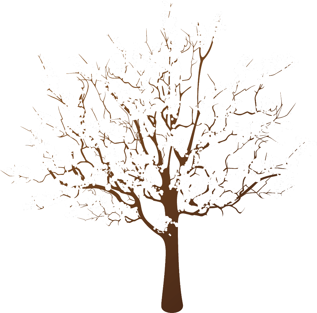 Winter Snow Covered Tree Illustration PNG image