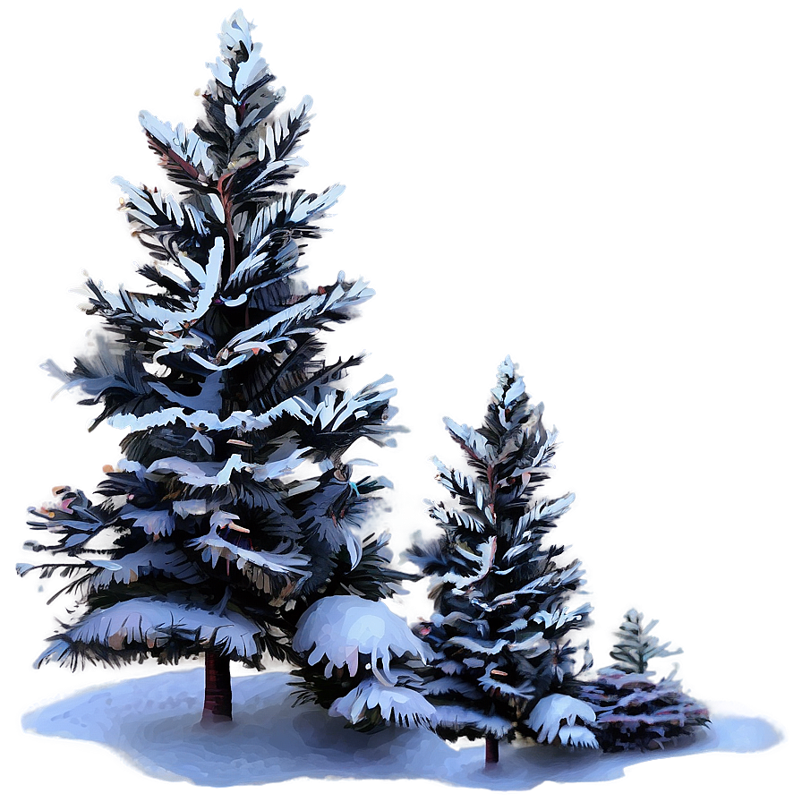 Winter Spruce Tree Scenery Png 36 PNG image