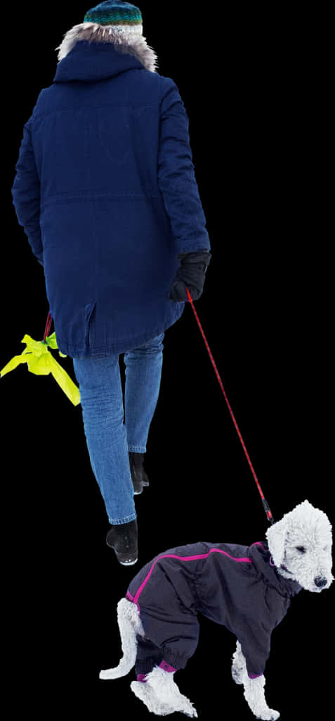Winter_ Stroll_ With_ Pet_ Dog.jpg PNG image