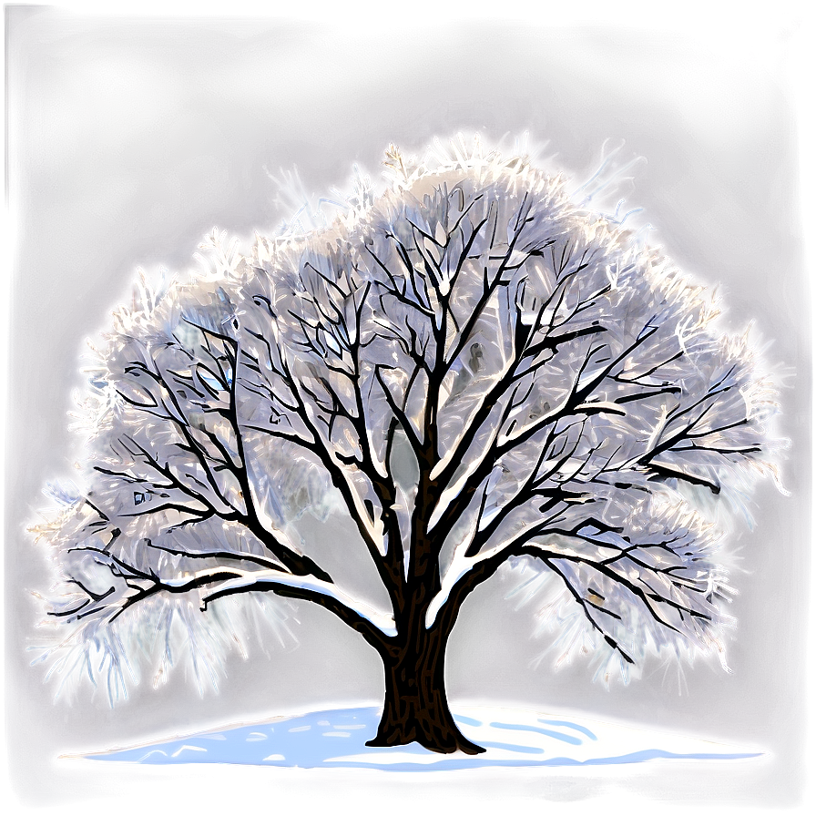 Winter Trees B PNG image