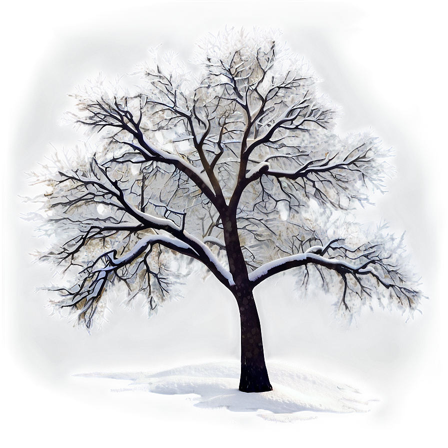 Winter Trees In Blizzard Png 13 PNG image