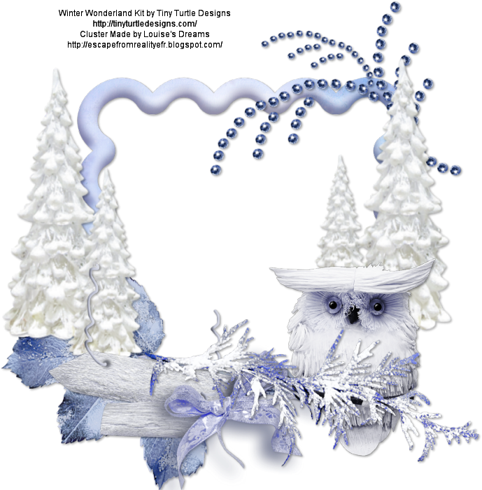 Winter Wonderland Owl Scene PNG image