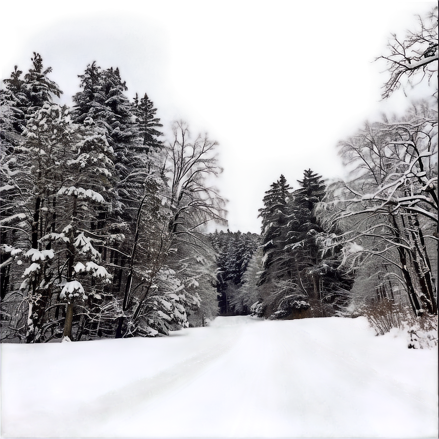 Wisconsin Winter Wonderland Png 15 PNG image