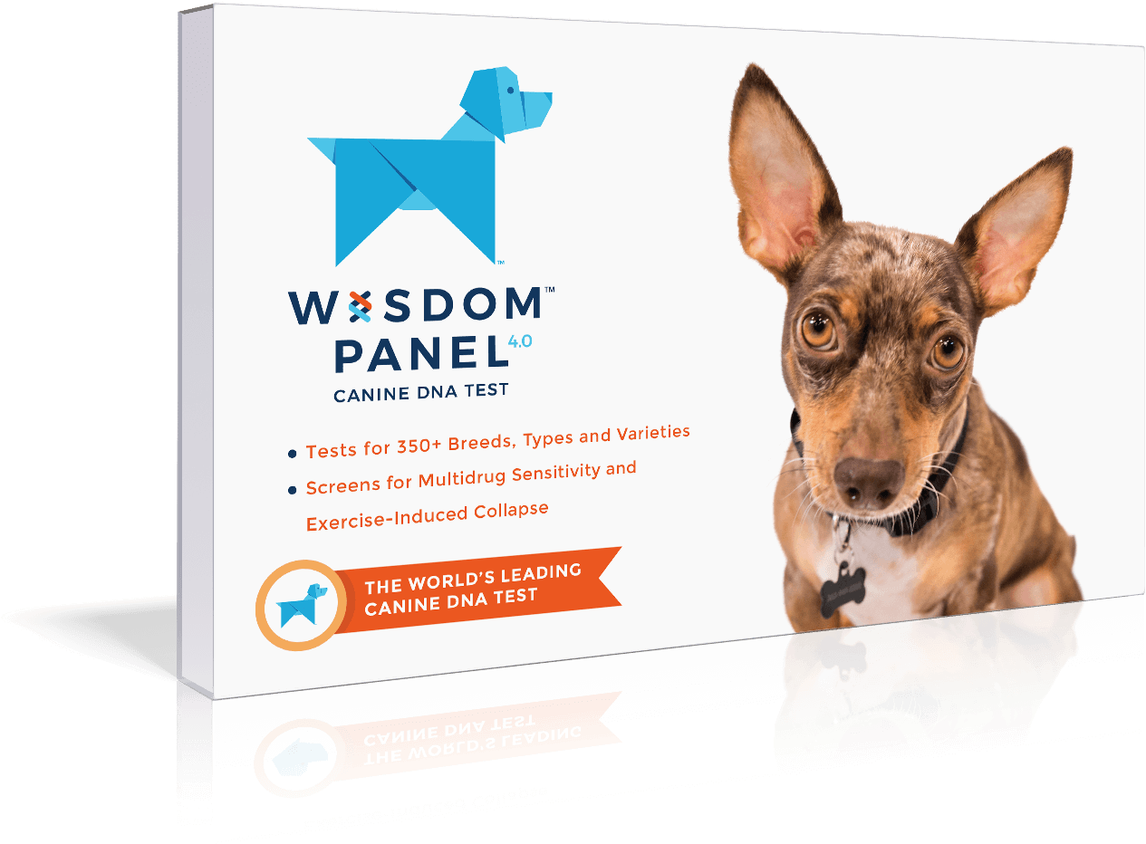 Wisdom Panel Canine D N A Test Packaging PNG image