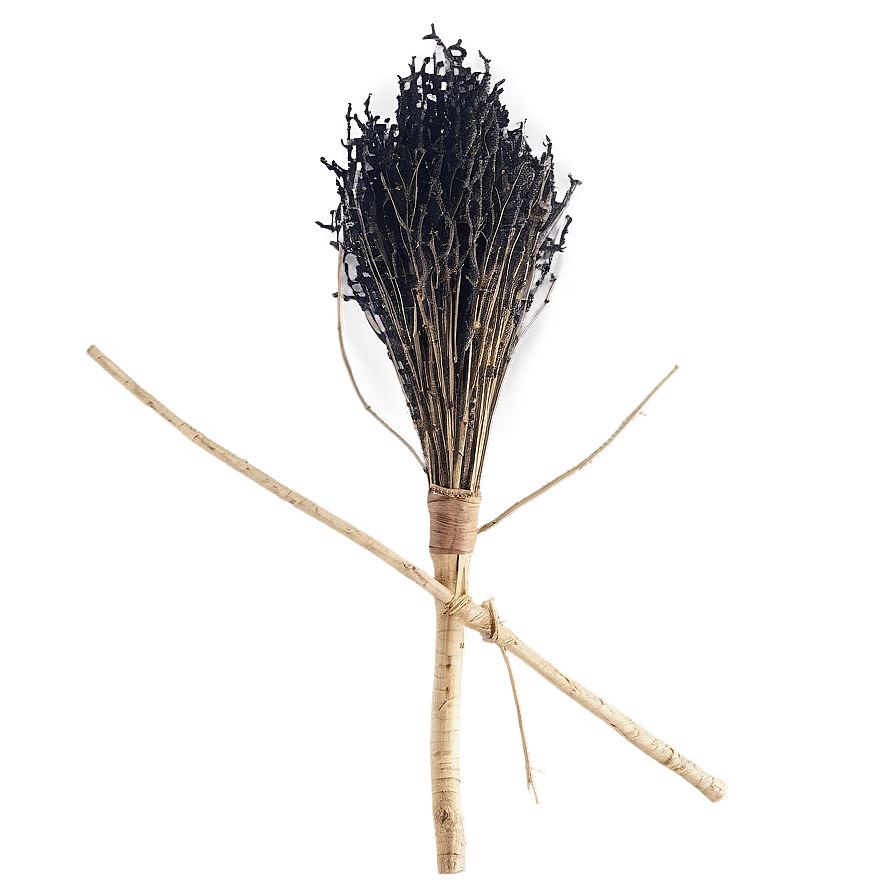 Witches Broom A PNG image