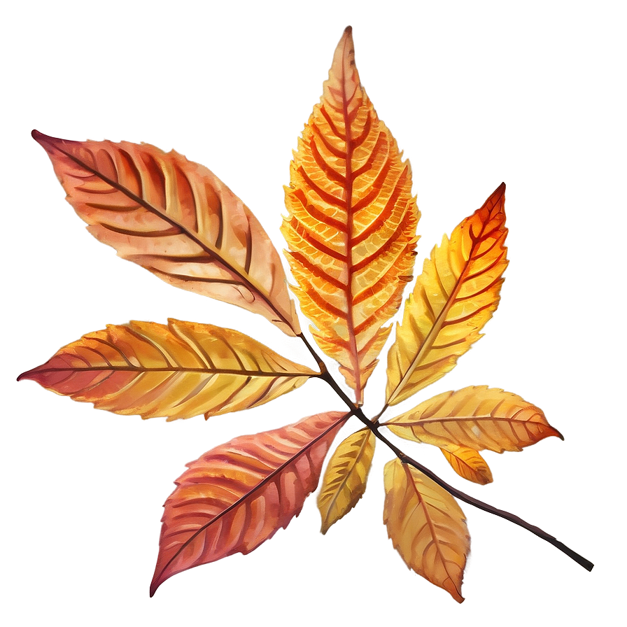 Withered Fall Leaf Png 05252024 PNG image