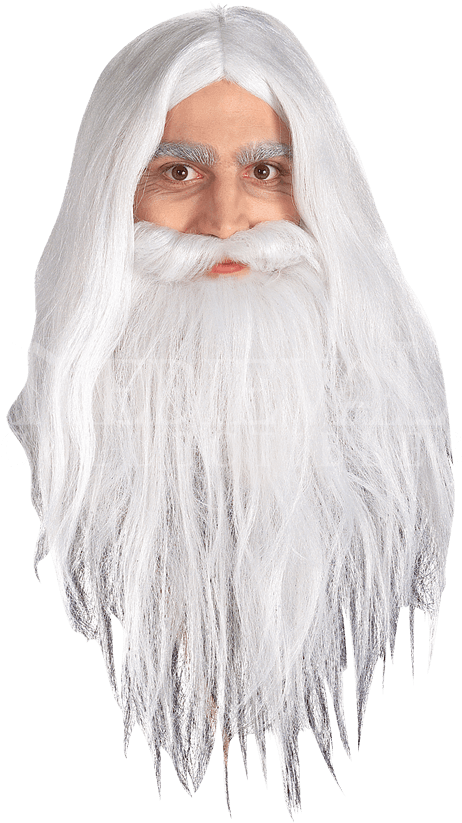 Wizard Beardand Hair Costume Accessory PNG image
