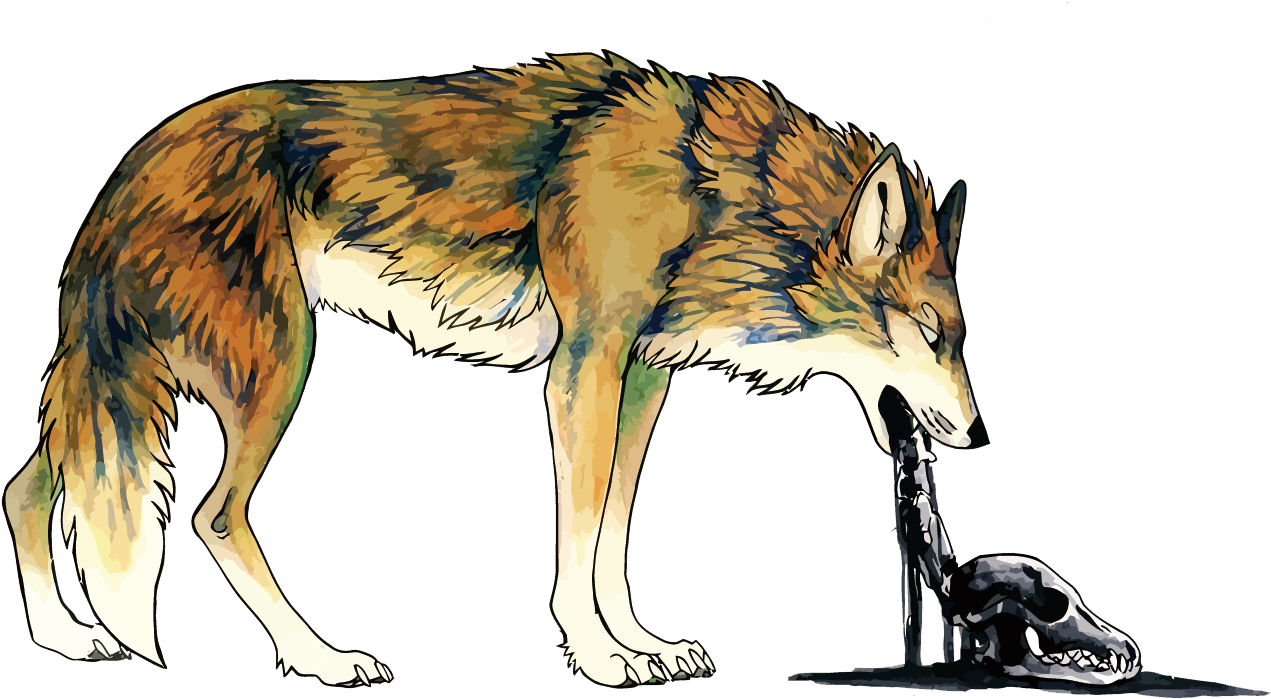 Wolf Vomiting Illustration PNG image