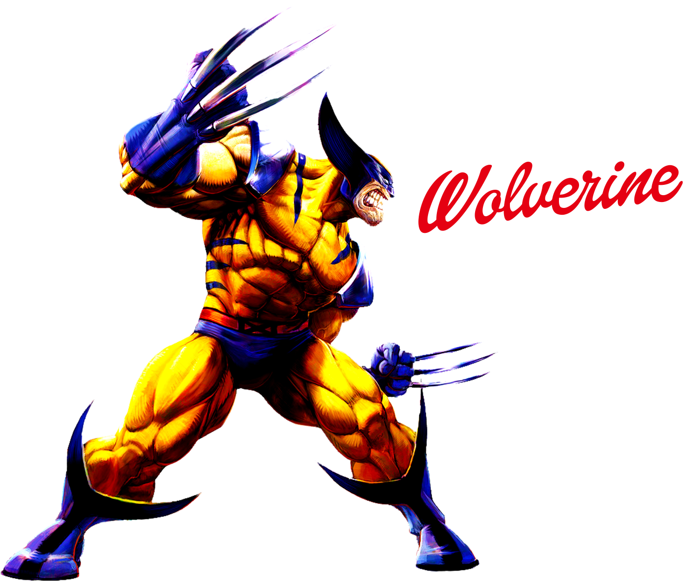 Wolverine Action Pose PNG image