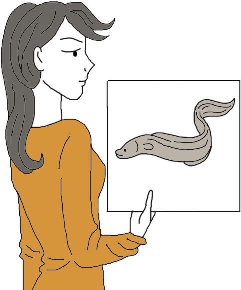 Woman Presenting Eel Illustration PNG image