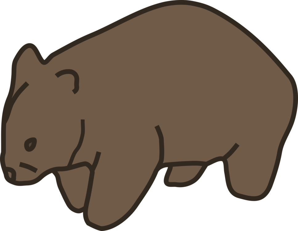 Wombat Cartoon Illustration PNG image