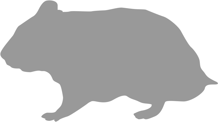 Wombat Silhouette Graphic PNG image