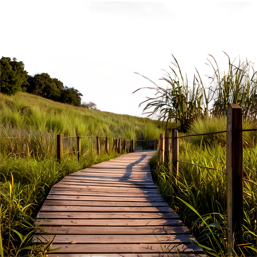 Wooden Boardwalk Path Png Noc22 PNG image