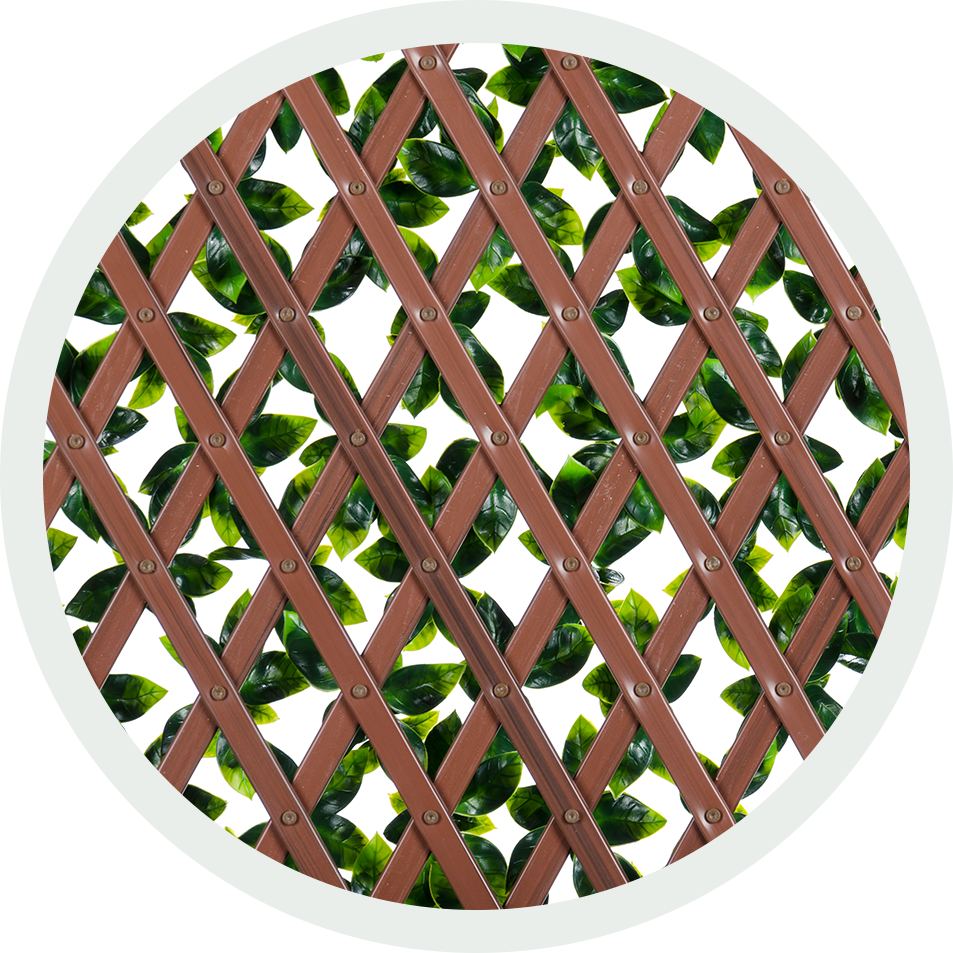 Wooden Latticewith Green Leaves PNG image