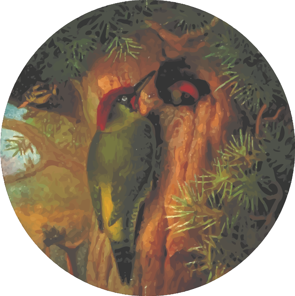 Woodpeckerin Nature Artistic Render PNG image