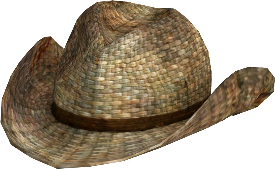 Woven Straw Hat3 D Render.png PNG image