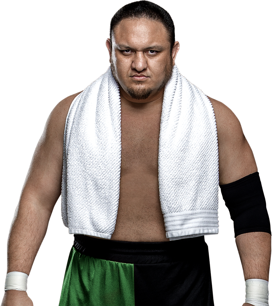 Wrestlerin Greenand Black Attire PNG image