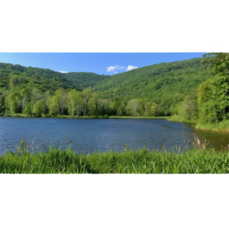 Wv Wildlife Refuge Sanctuary Png Gfw PNG image