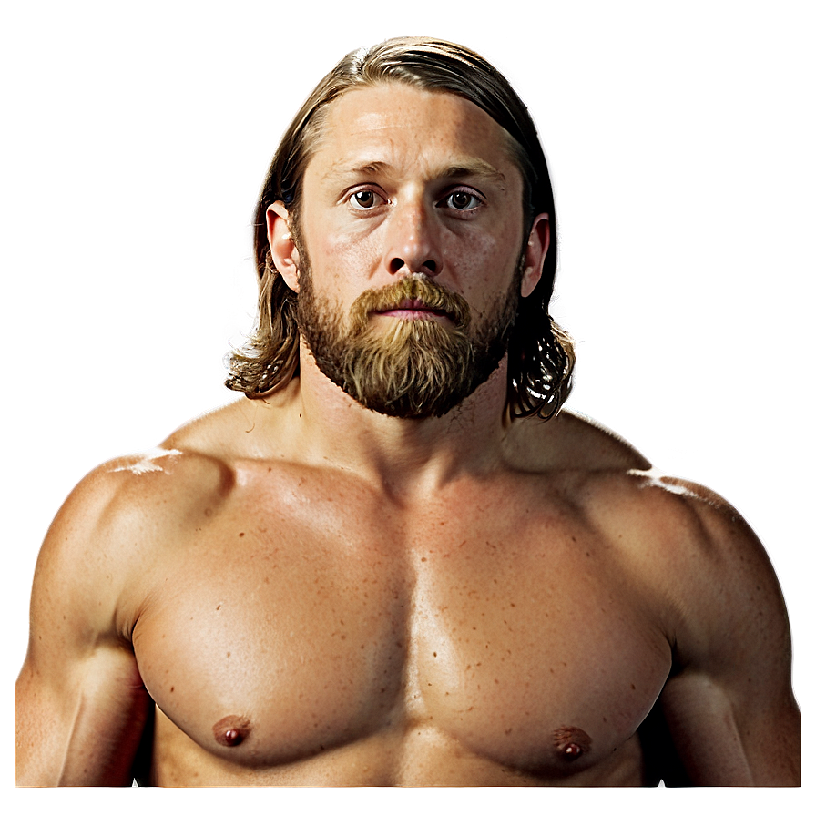 Wwe Daniel Bryan Png Fex PNG image