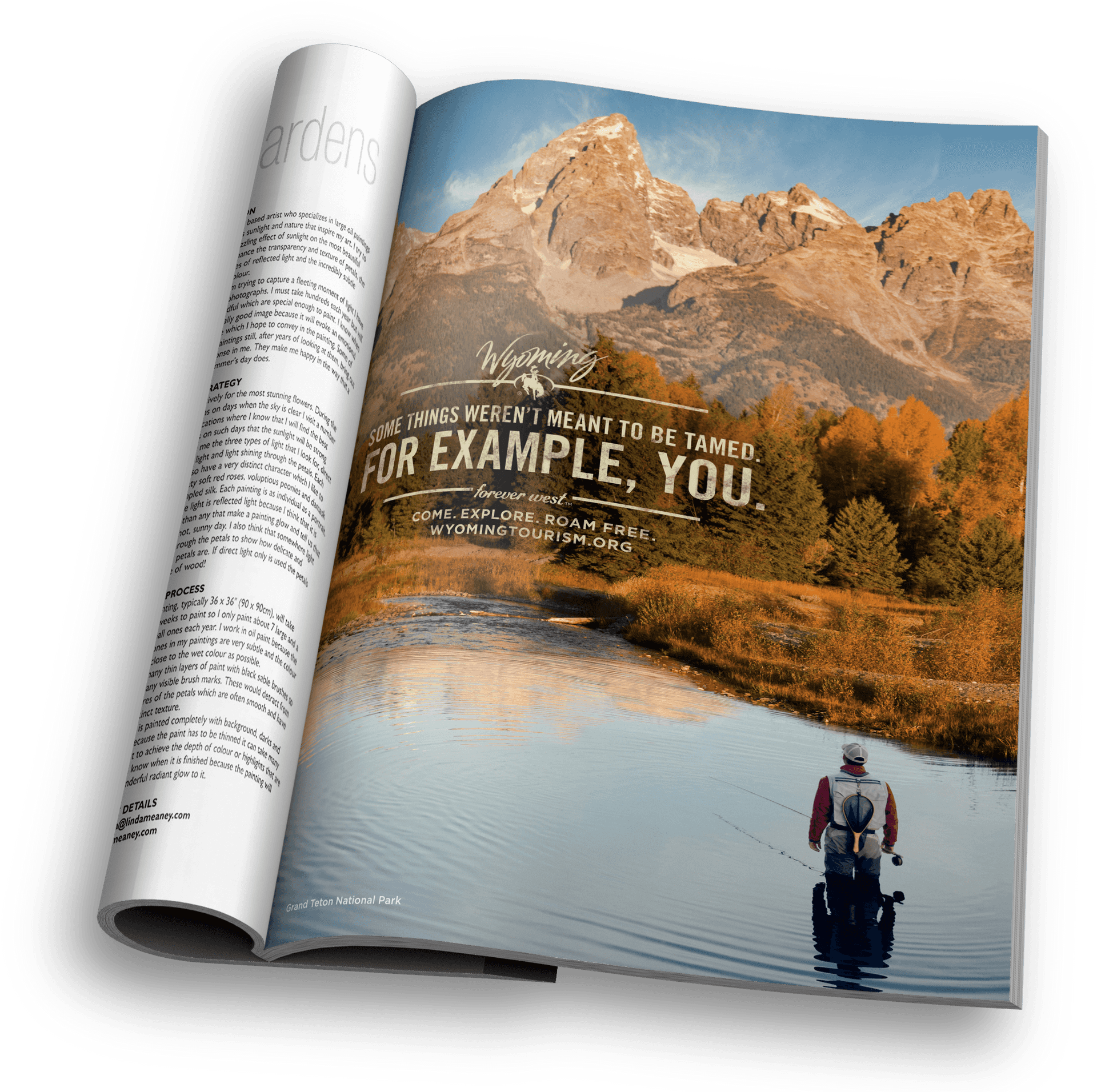 Wyoming Tourism Advertisement PNG image