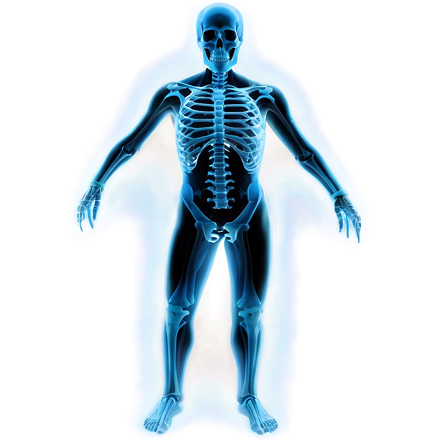 X Ray D PNG image