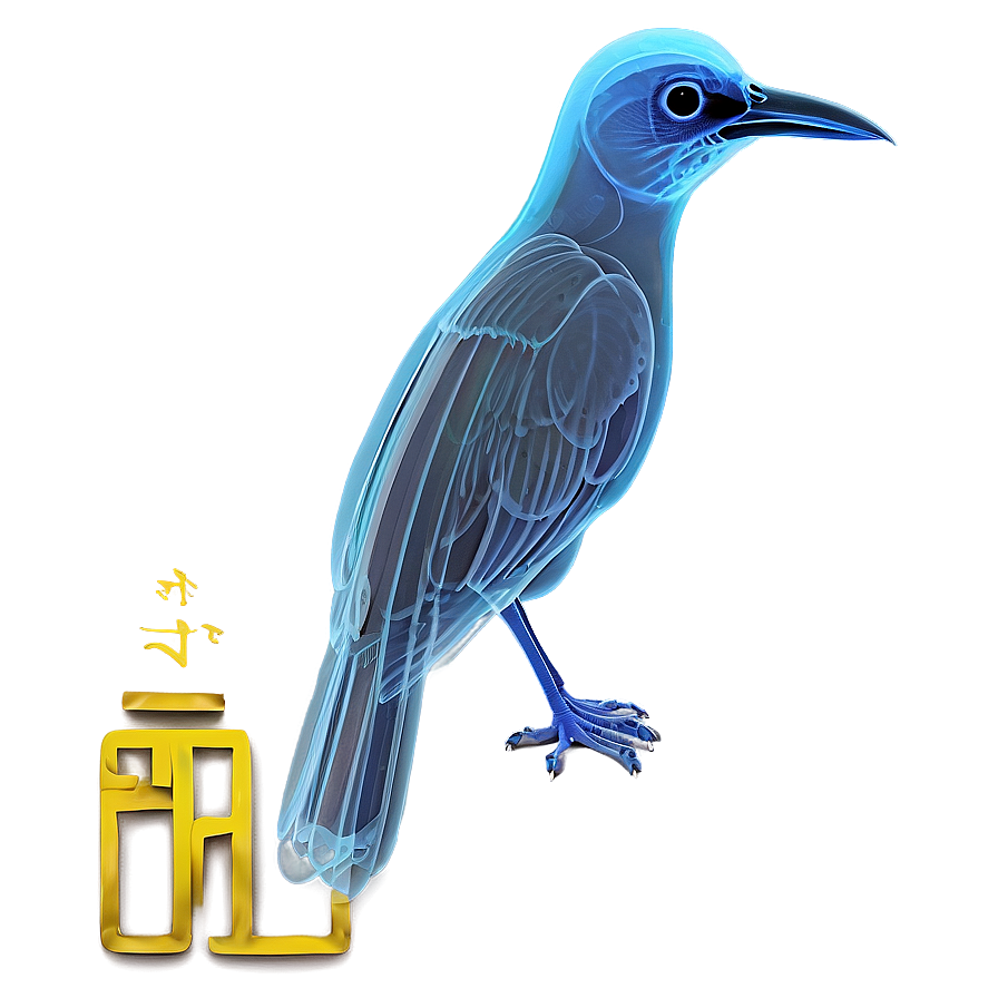 X Ray Of A Bird Png 06252024 PNG image