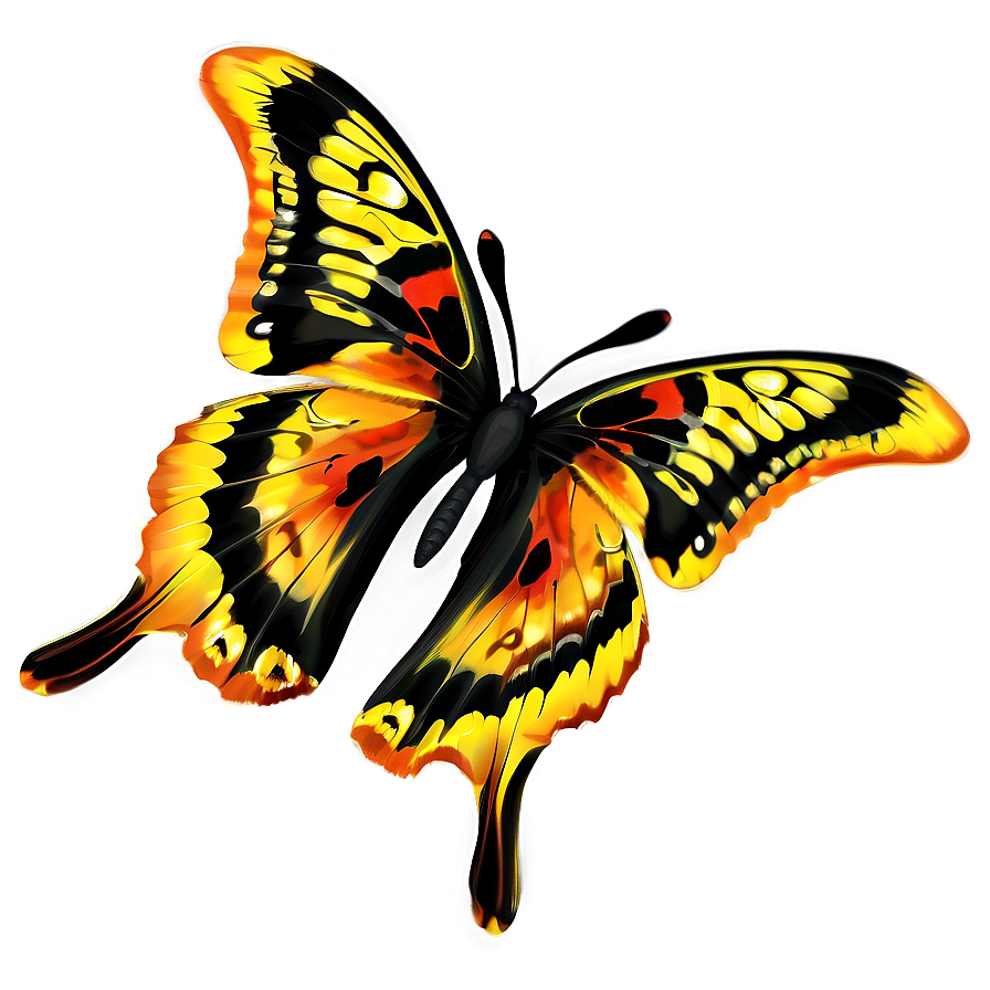 Yellow And Orange Butterfly Png 06292024 PNG image