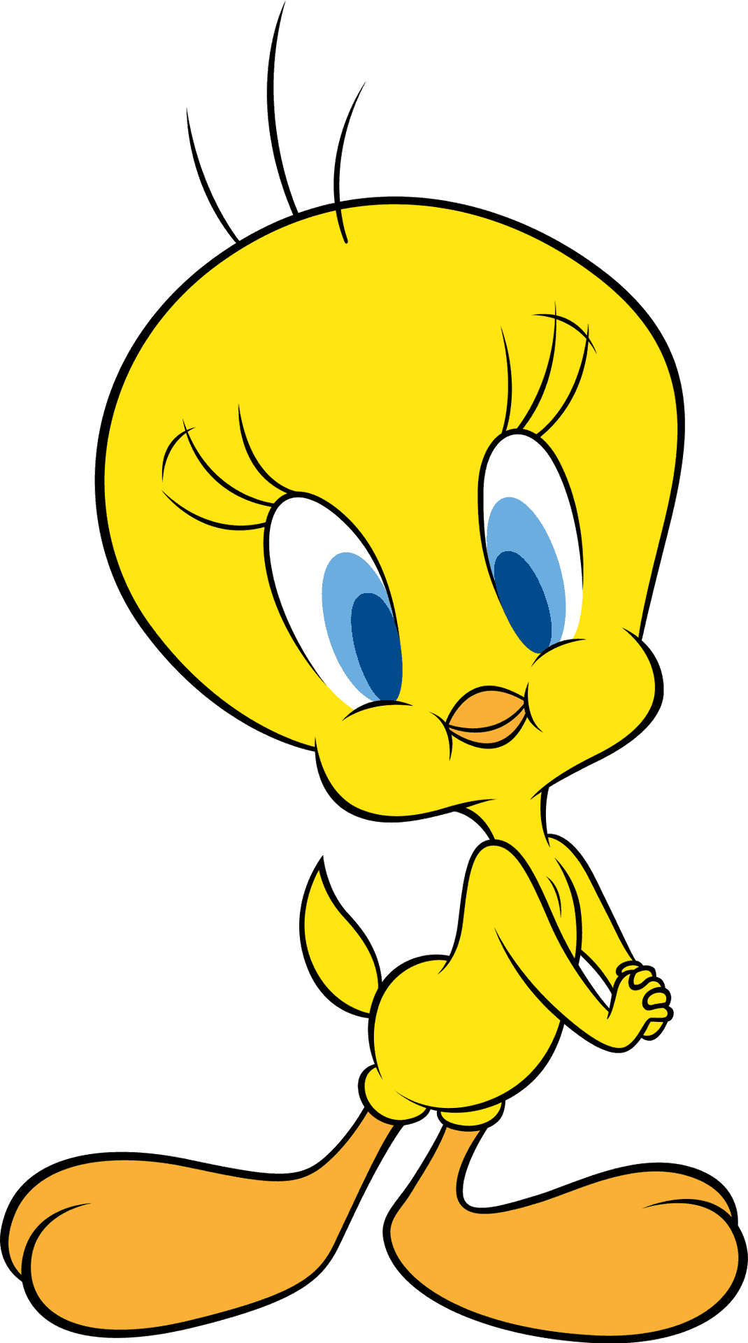 Yellow Animated Bird Cartoon Character PNG image