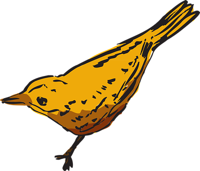 Yellow Bird Illustration PNG image