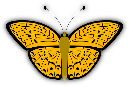 Yellow Black Butterfly Illustration PNG image