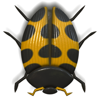 Yellow Black Ladybug Illustration PNG image