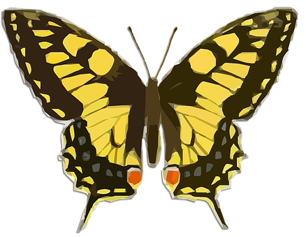 Yellow Black Patterned Butterfly Illustration PNG image