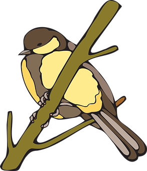 Yellow Breasted Bird Illustration PNG image