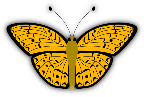 Yellow Butterfly Black Background PNG image