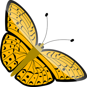 Yellow Butterfly Illustration PNG image