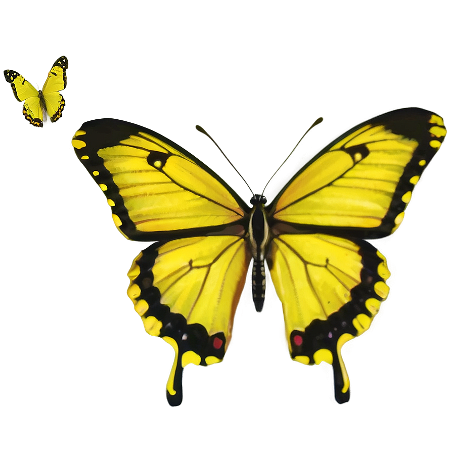 Yellow Butterfly In Nature Png 43 PNG image