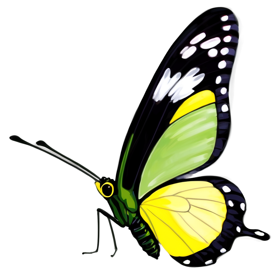 Yellow Butterfly With Green Background Png Dbc87 PNG image