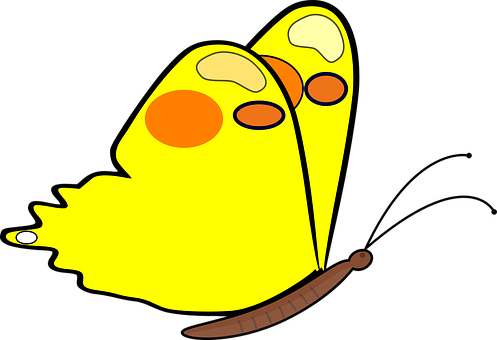 Yellow_ Cartoon_ Butterfly_ Vector PNG image