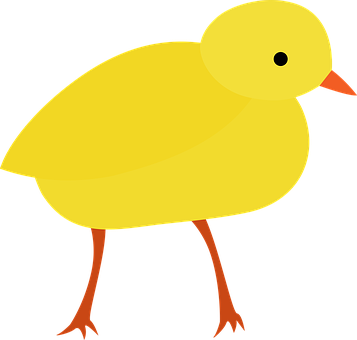 Yellow Cartoon Chick Illustration PNG image