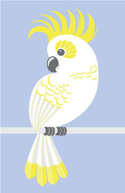 Yellow Crested Cockatoo Illustration PNG image