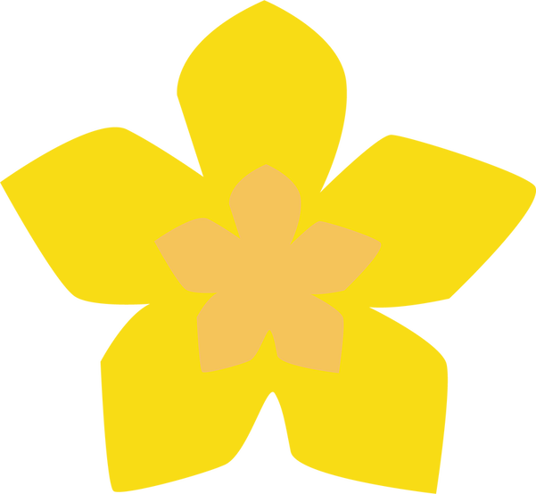 Yellow Daffodil Graphic PNG image