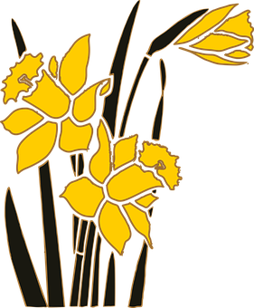 Yellow Daffodils Vector Art PNG image