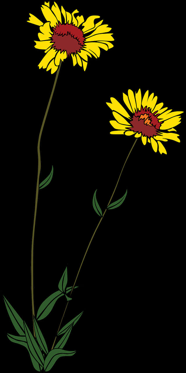 Yellow Daisies Vector Illustration PNG image