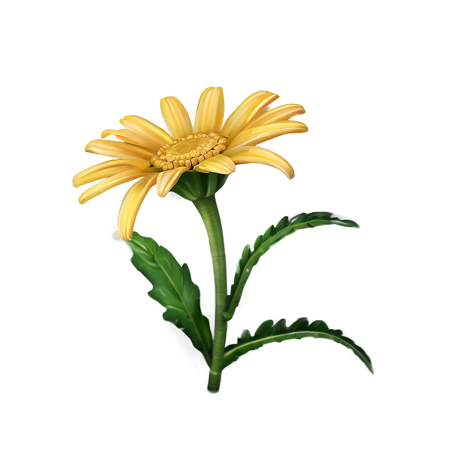 Yellow Daisy A PNG image