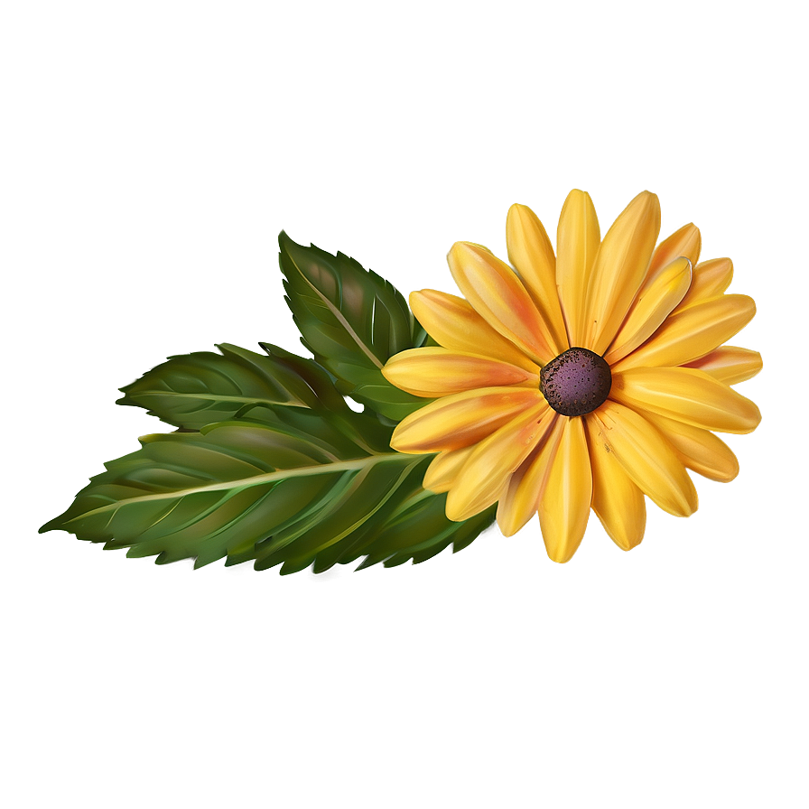 Yellow Daisy Flowers Png Bwy33 PNG image