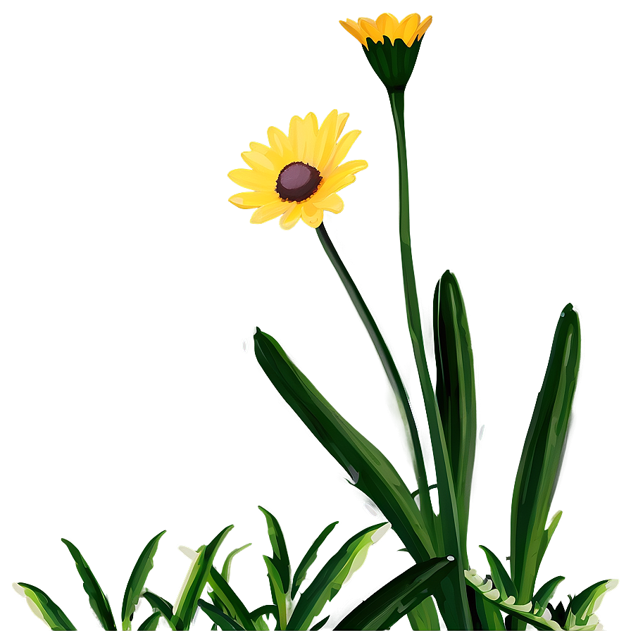 Yellow Daisy Png Kct12 PNG image