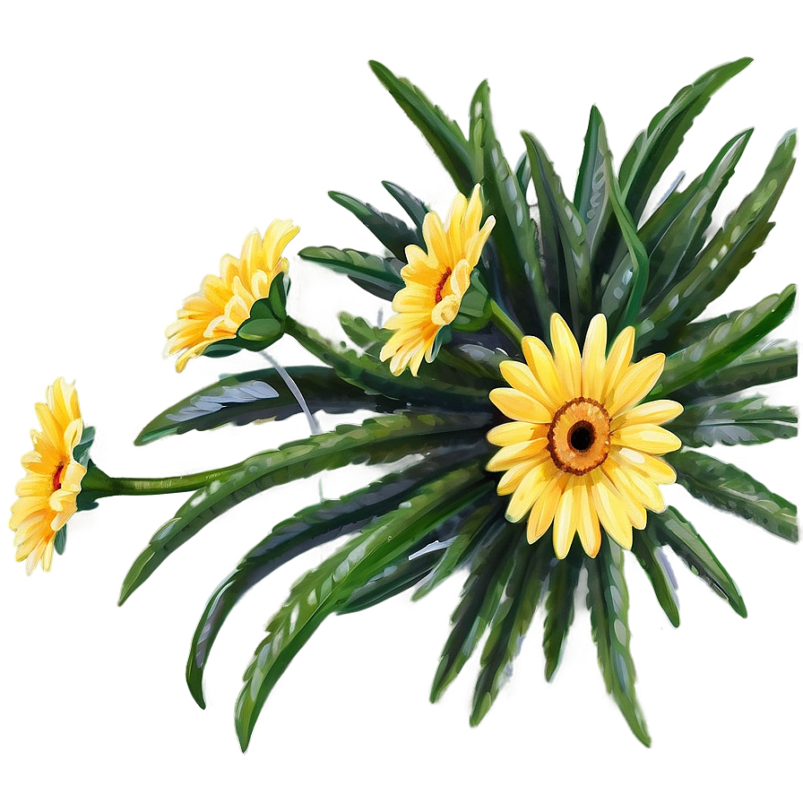 Yellow Daisy Summer Theme Png 61 PNG image